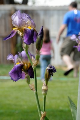 DSC_8011.JPG