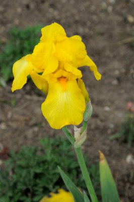DSC_8119.JPG