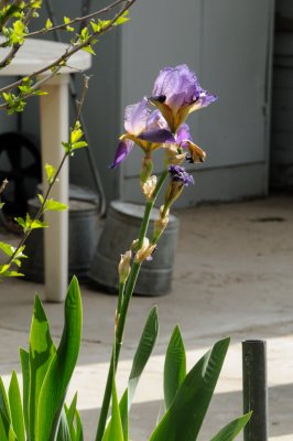 DSC_8162.JPG