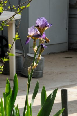 DSC_8166.JPG