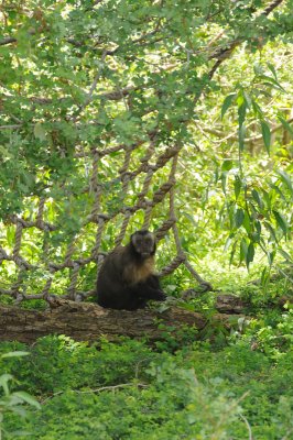 DSC_8631.JPG