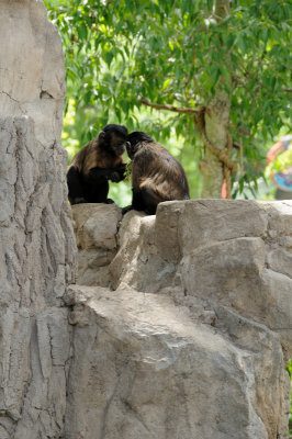DSC_8638.JPG