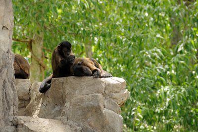 DSC_8643.JPG