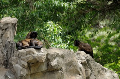 DSC_8659.JPG