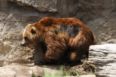 DSC_8694.JPG