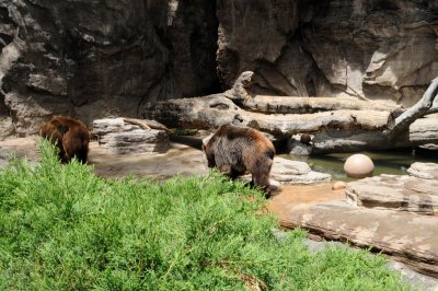 DSC_8696.JPG