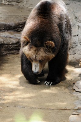 DSC_8714.JPG