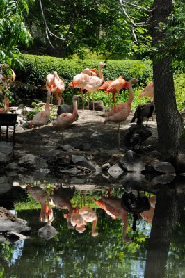 DSC_8732.JPG