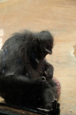 DSC_8734.JPG