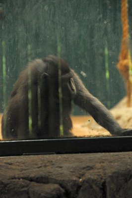 DSC_8737.JPG