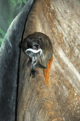 DSC_8748.JPG