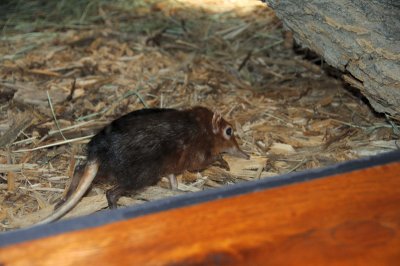 DSC_8750.JPG