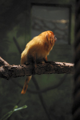 DSC_8759.JPG
