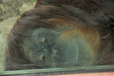 DSC_8773.JPG