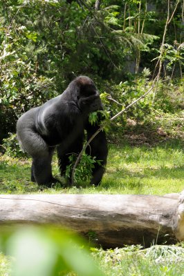 DSC_8799.JPG