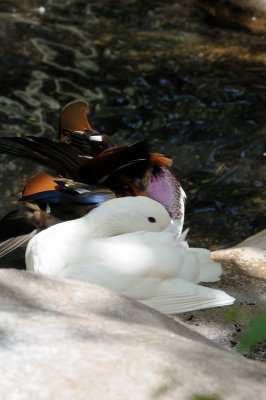 DSC_8835.JPG