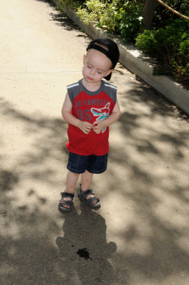 DSC_8885.JPG