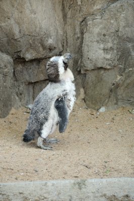 DSC_8887.JPG