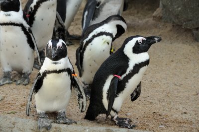 DSC_8892.JPG