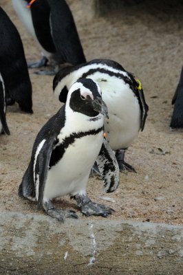 DSC_8898.JPG