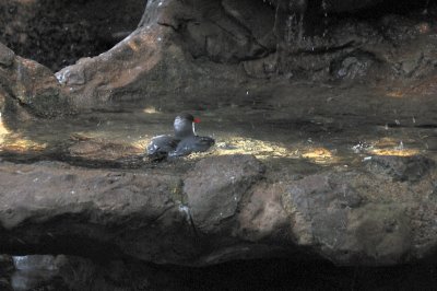 DSC_8916.JPG