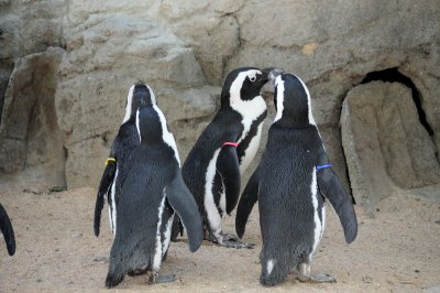 DSC_8932.JPG