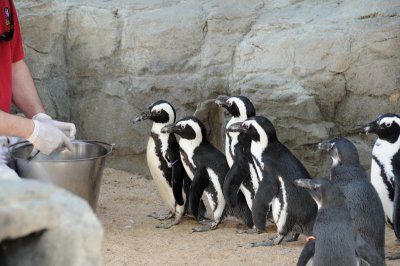 DSC_8946.JPG