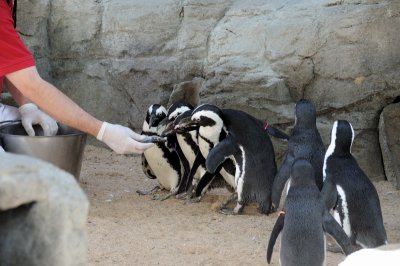 DSC_8947.JPG