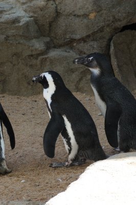DSC_8962.JPG