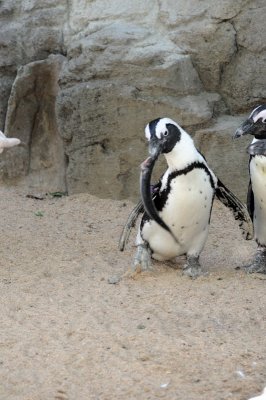 DSC_8966.JPG