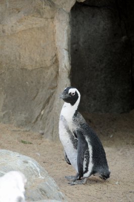DSC_8974.JPG