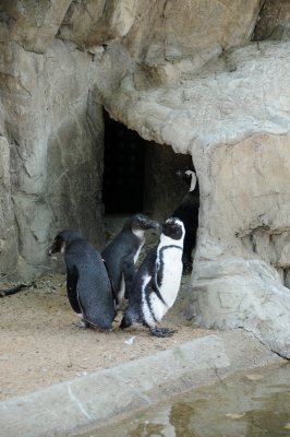 DSC_8979.JPG