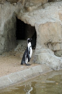 DSC_8980.JPG