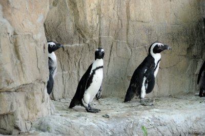 DSC_8984.JPG