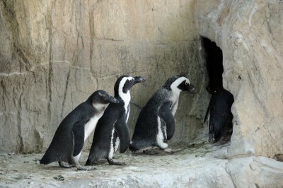DSC_8986.JPG