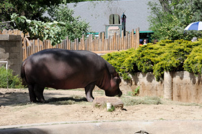 DSC_8990.JPG