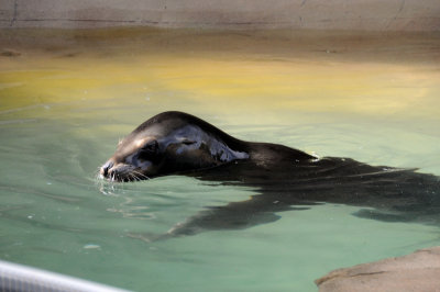 DSC_9042.JPG