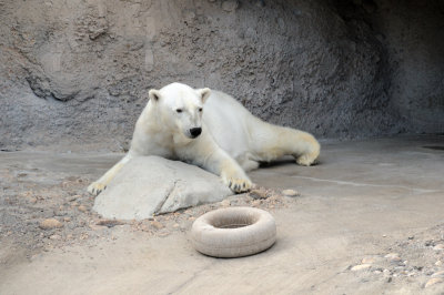 DSC_9073.JPG