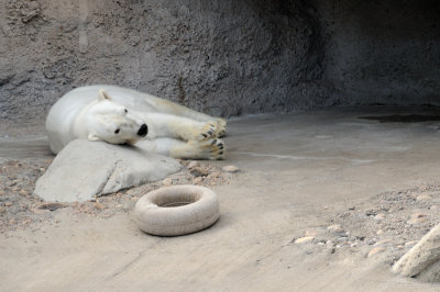 DSC_9075.JPG