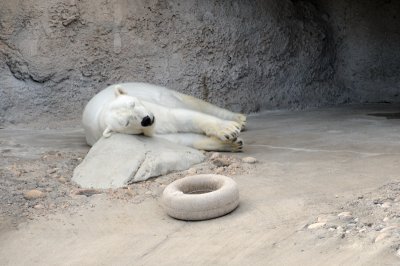 DSC_9076.JPG