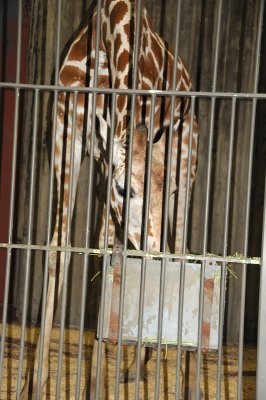 DSC_9108.JPG