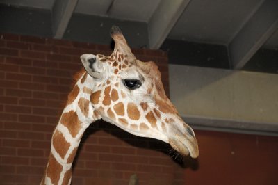 DSC_9119.JPG