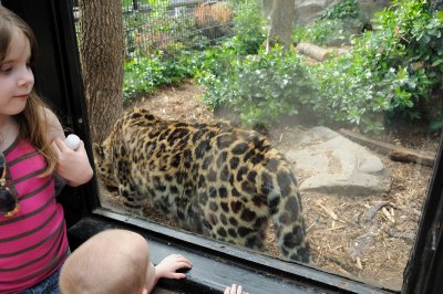 DSC_9133.JPG