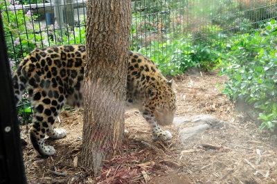DSC_9138.JPG