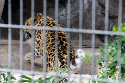 DSC_9145.JPG