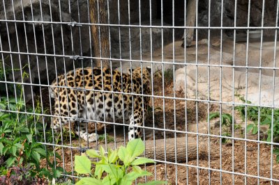 DSC_9148.JPG
