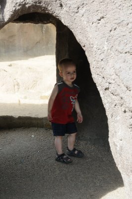 DSC_9180.JPG