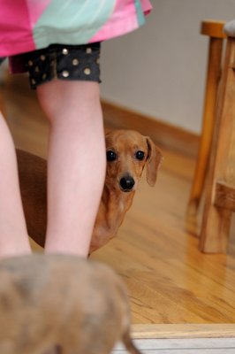 DSC_9444.JPG