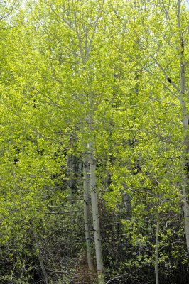 DSC_9549.JPG