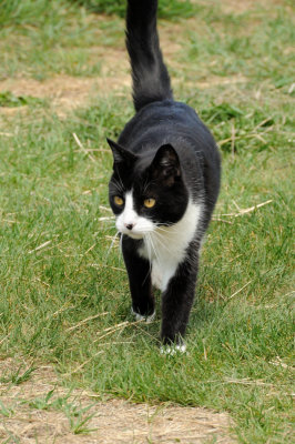 DSC_9629.JPG